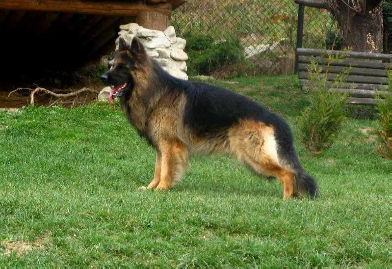 GALILEO Boss&Bursztyn