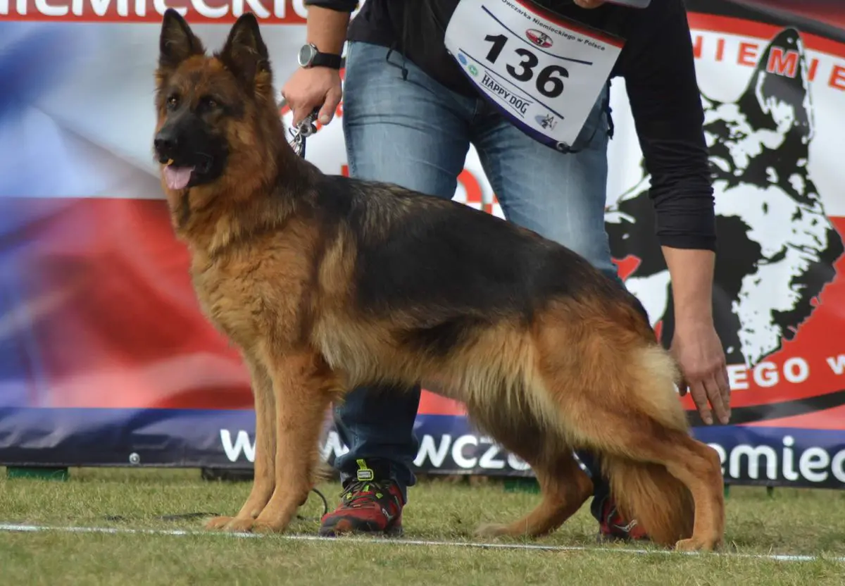 Gea vom Fichtenschlag