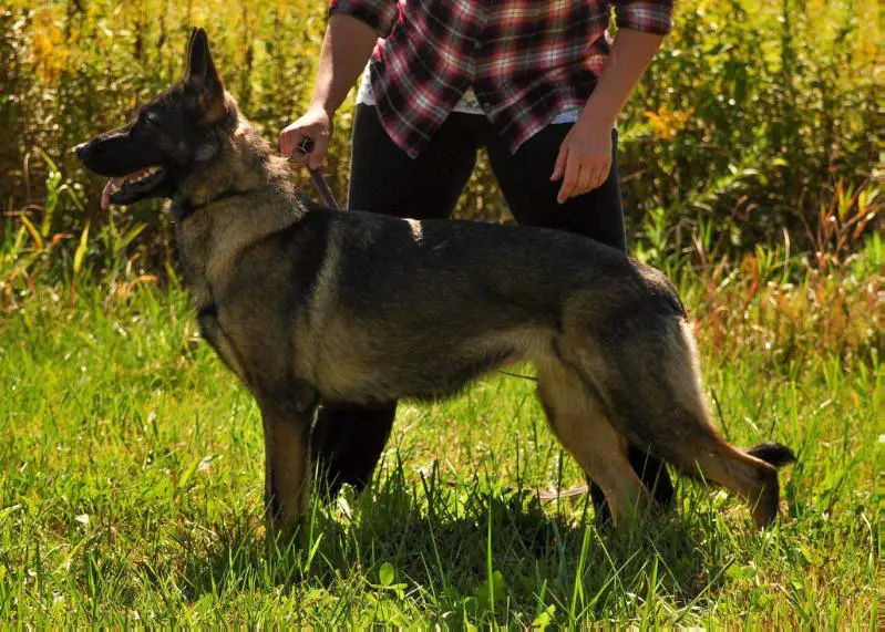 Ronja von der Staatsmacht (2014)