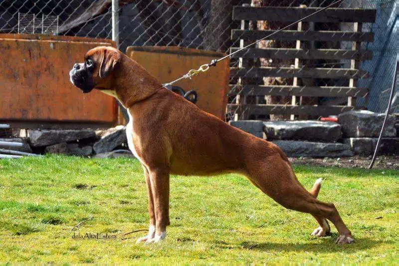 Christina vom Wurfelhof