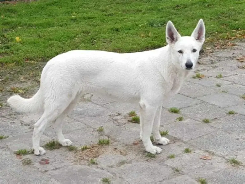 lothiansfuture beautiful babe