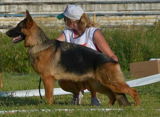 Autbek Zeichen der Exzele