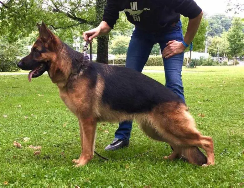 Priska vom Haus Berendorf