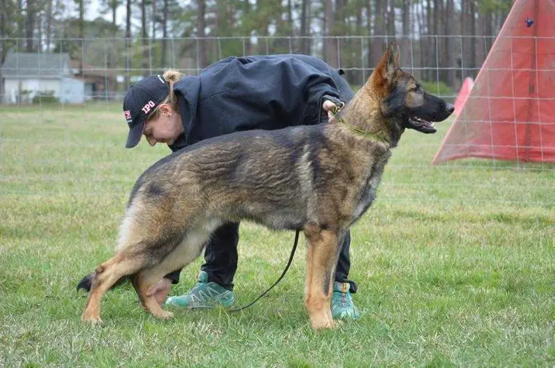 Tuff Vom Schwarzen Fluss