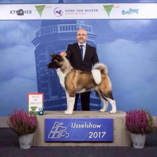 Dynamic Force It Takes Two To Tango