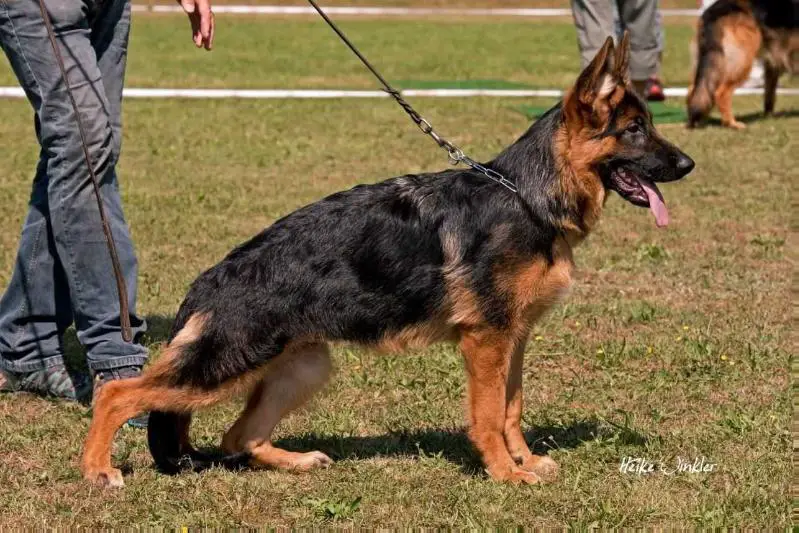 Drixi TEAM Gigelsfelsen