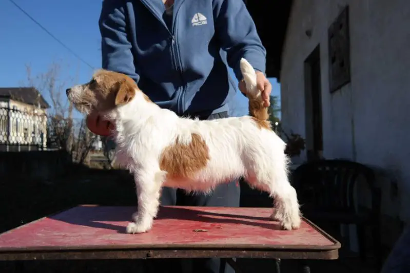 Milmaris Garden Cheddar