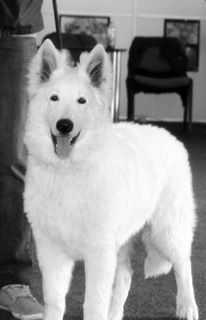 BB, 2xVP1 Nakahn Ahlitah Quest