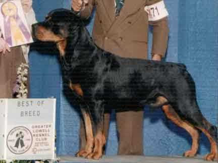 Von Hottensteins Omega