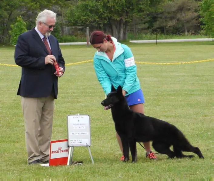 Gableridges Midnight Storm