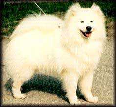 Quincy