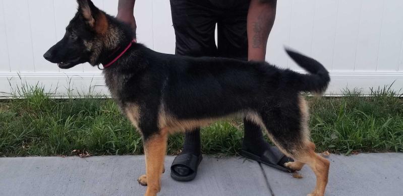 Lunabelle Of The Southland