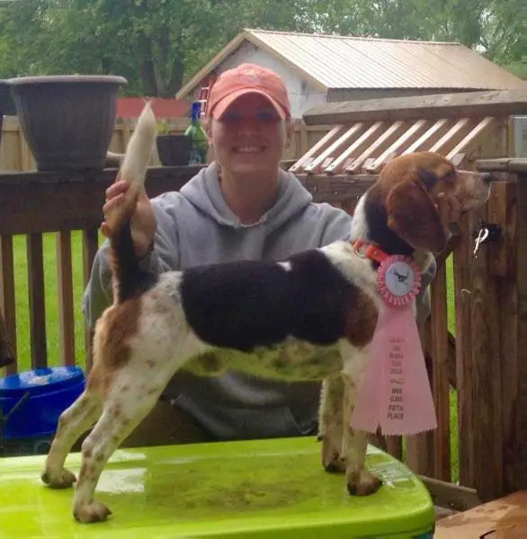 Durbin's Farmgate Shortie