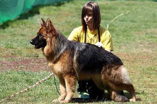 JCHNKPNO, JCHKAZ, JCHRUS, CHKAZ Rahimzhan Iberiya