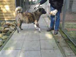 Ausserhalb's Dolores