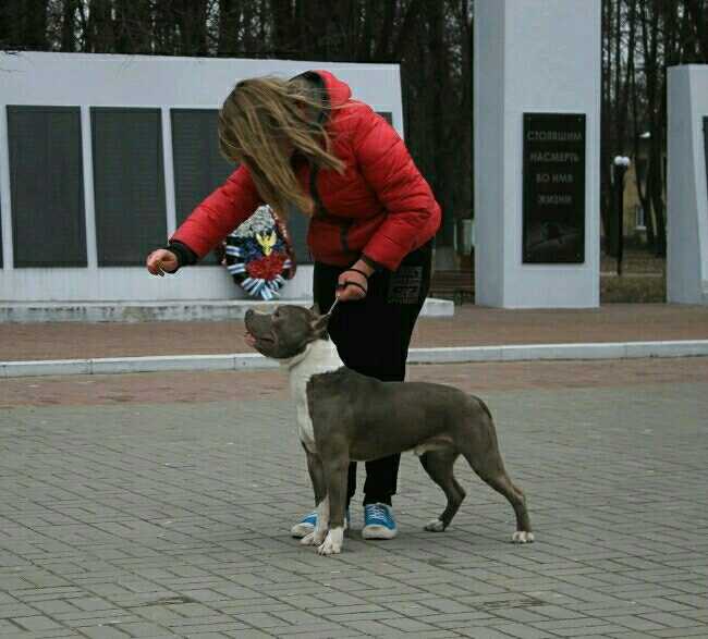 Faind Inspireyshn iz Sozvezdiya Staff