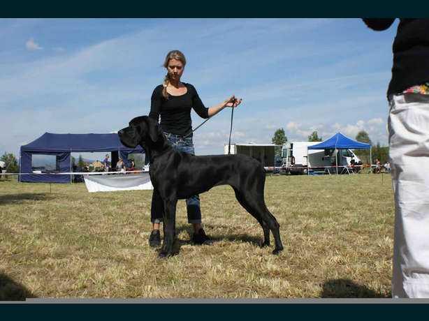 CH Embleme des Terres de la Rairie