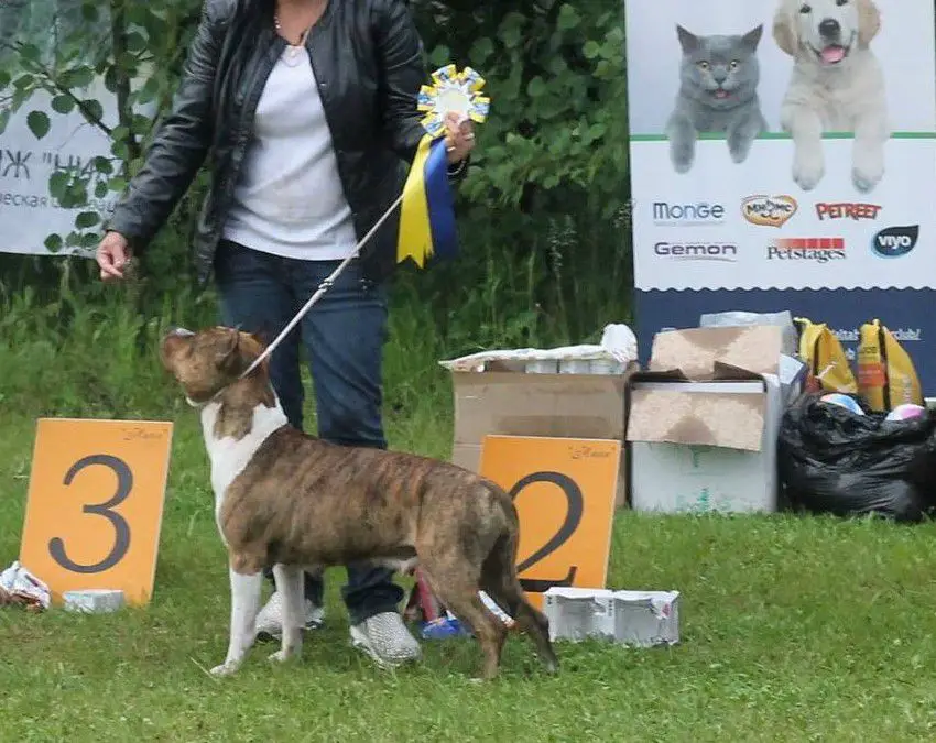 Imperial Gigant Facelija