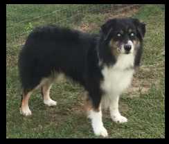 Faithwalk's Been There, Done That