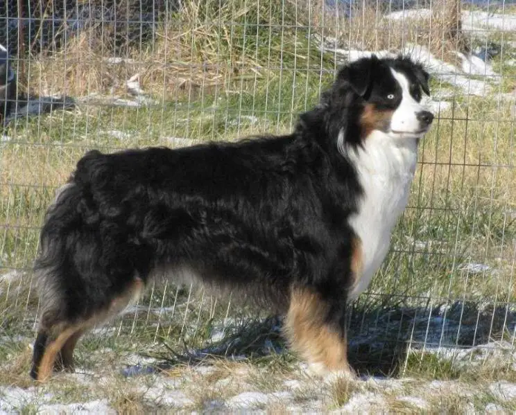 Shurdan Creek Beside Still Waters