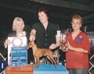 Am Ch Windwalker Over The Top