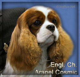 ENG CH Aranel Cosmic