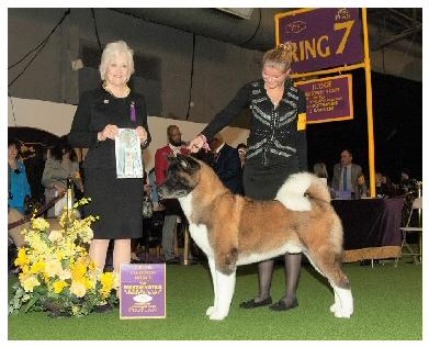 AKC GCHB Chelsea's Keeper Of The Family Jewels
