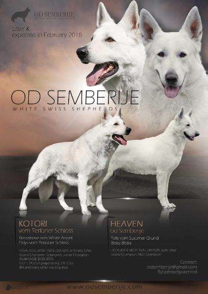 GCH, MCH Heaven od Semberije