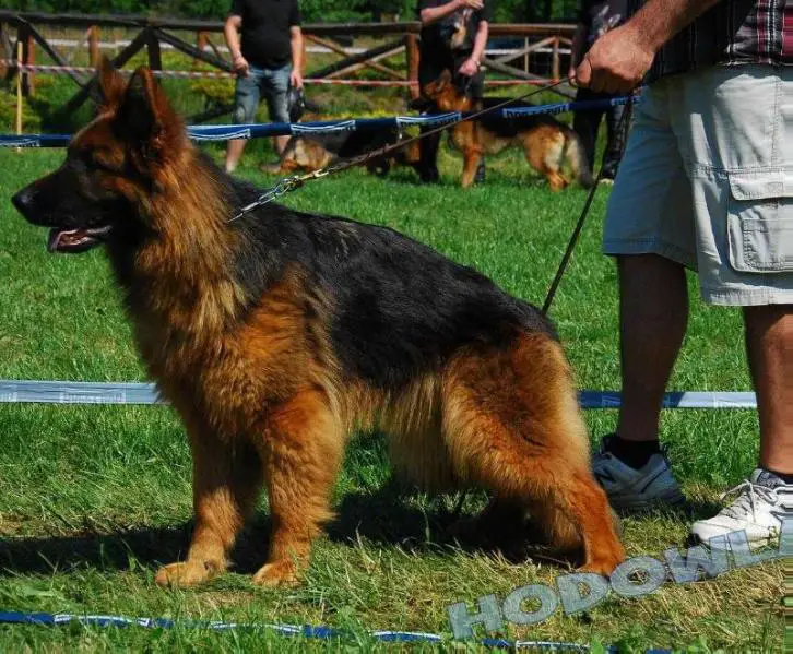 KLODI-KAREN Megy's Garden