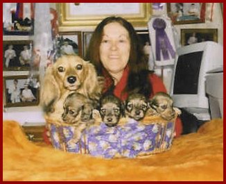 Sniffntells Wroyal Jewell ML