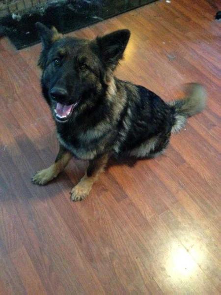 Hilda Jolie Von Bayern