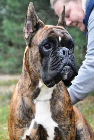 Flagman de Bellaterra