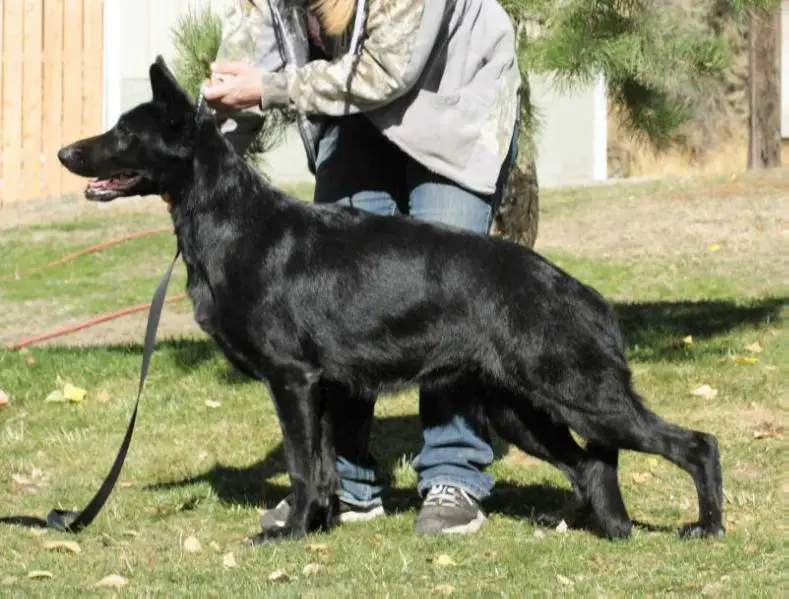 Alexzandra V Kolibri Weingarten