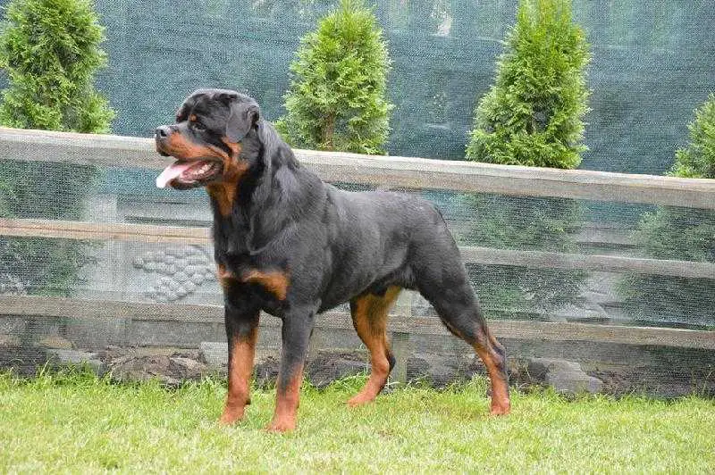 Konan Kabri