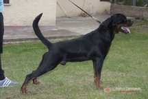 RIO (2010)(del Colle Canino)