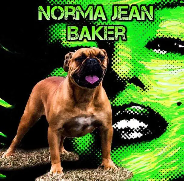 Norma Jean Baker of Monster OEB