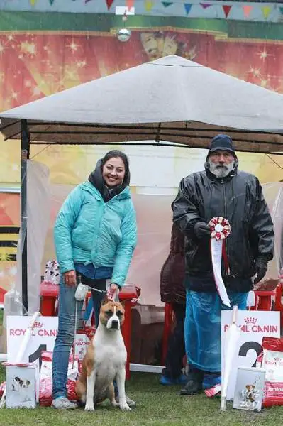 Lilly of the Valley iz Sozvezdiya Staff