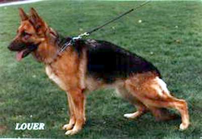 V  Yentl van Mirzslot