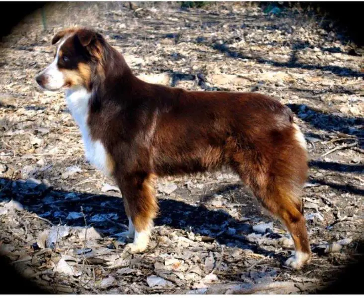 Doin The Maca Reena @ T4