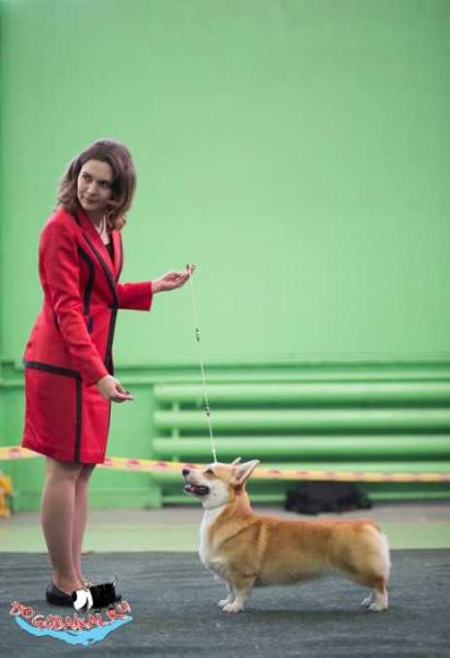 Peppi Nezhny Potselui