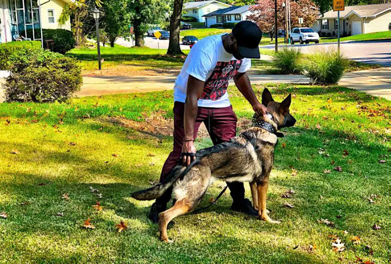 Titus (Pax)  von Der Weizenfelder