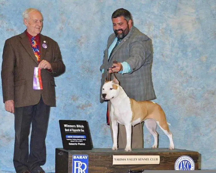 CH LBK's Alpine Trick or Treat