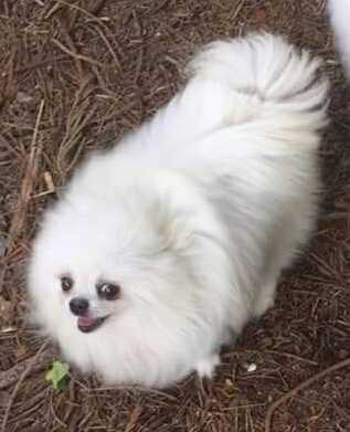 BAAN'S Little Batman