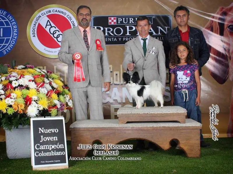 JCo. God save the queen Delescondite Kennel