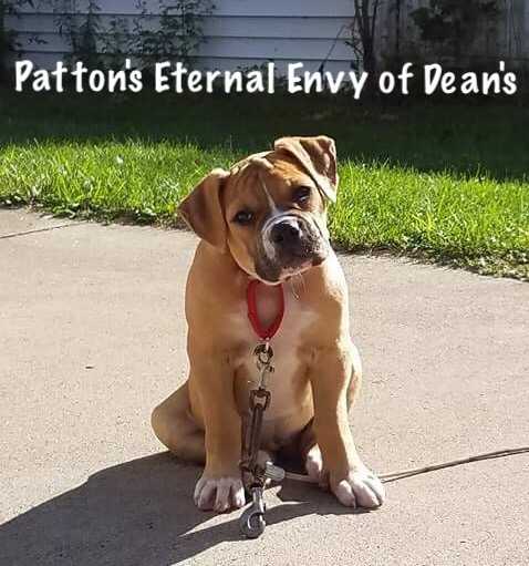 Patton's Eternal Envy of Dean's