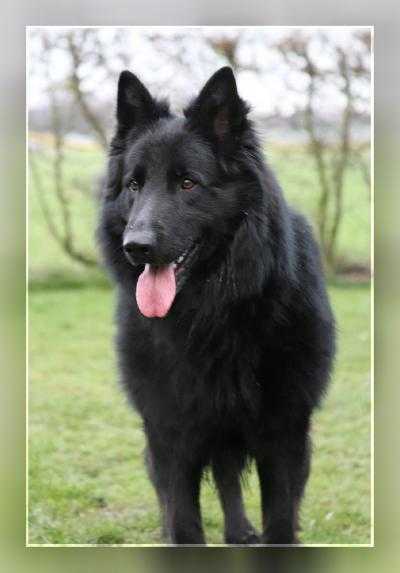 Eros von Holterhöfe