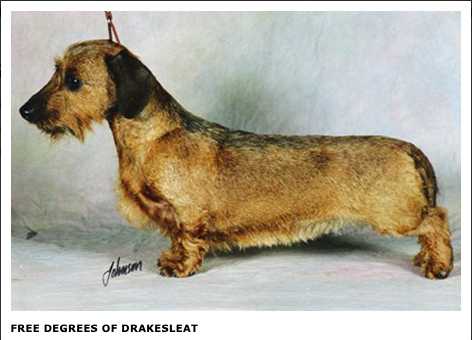 CH Free Degrees Of Drakesleat