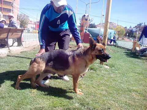 CUANTA DE CASA VEIZAN