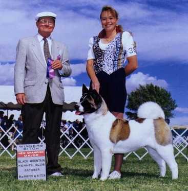 BISS AKC CH Tamarlane's Touch Of Envy