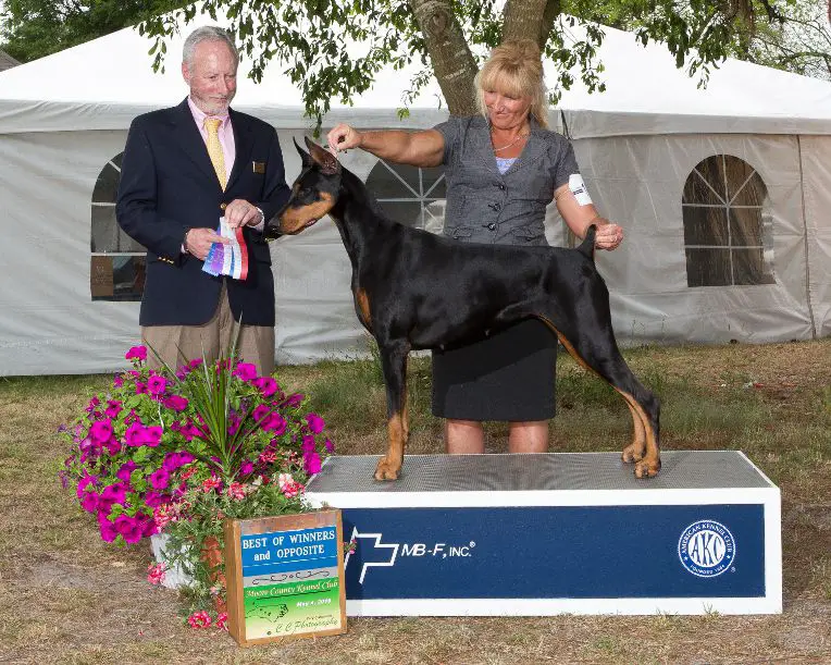 Treasure Seeker's Cherished Gem